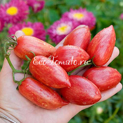 Candy Sweet Icicle (Конфеты сладкий сосульки), США