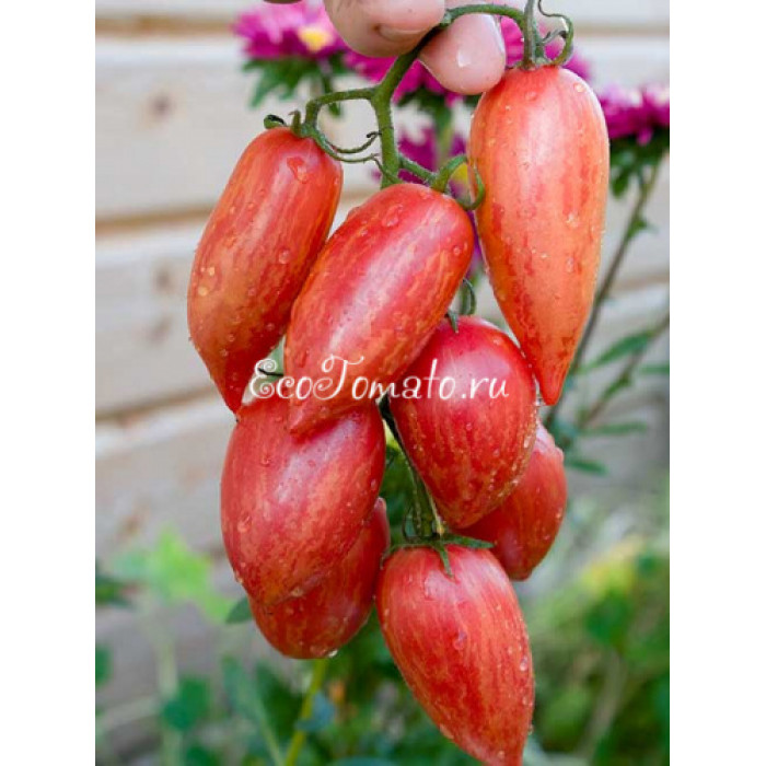 Candy Sweet Icicle (Конфеты сладкий сосульки), США