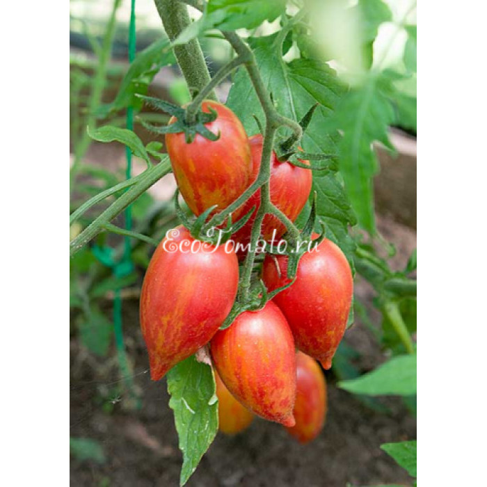 Candy Sweet Icicle (Конфеты сладкий сосульки), США