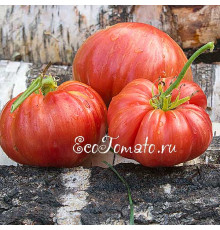 Jazz (Джаз), США