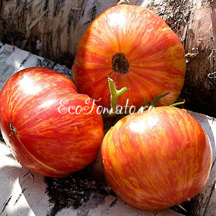 Lovers Lunch (Обед влюбленных), США