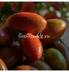 Marchenmonster (Марчен Монстр, Волшебный Монстр)