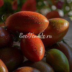 Marchenmonster (Марчен Монстр, Волшебный Монстр)