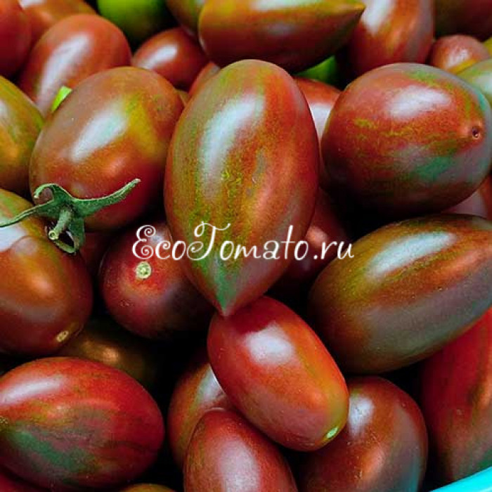 Marchenmonster (Марчен Монстр, Волшебный Монстр)