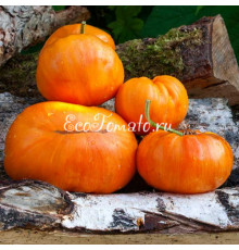 Orange Jazz (Оранжевый Джаз)