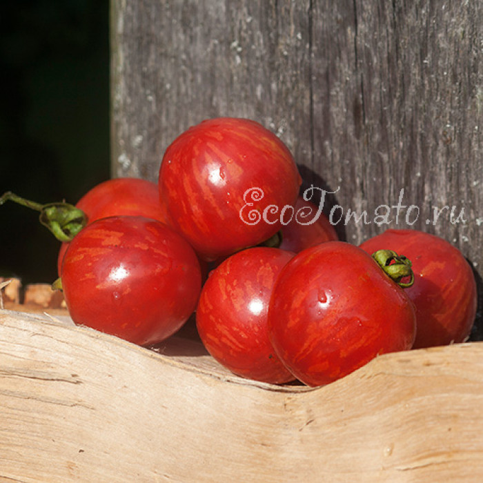 Strawberry Tiger (Клубничный тигр), США