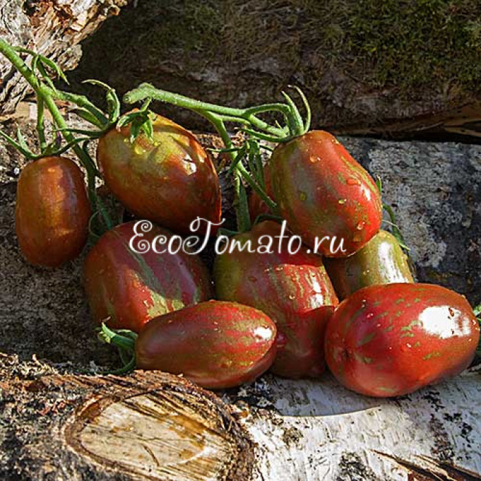 Sweet Tooth (Сладкоежка), США