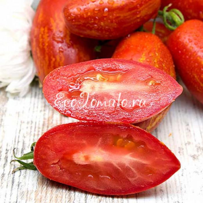 Trenton’s Tiger (Тигр Трентона), США