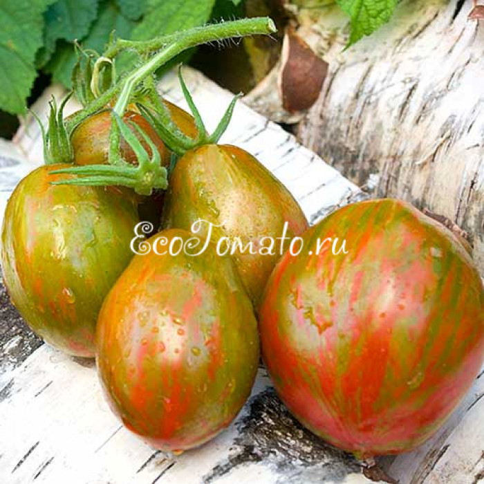 Victoria Smile (Улыбка Виктории), США