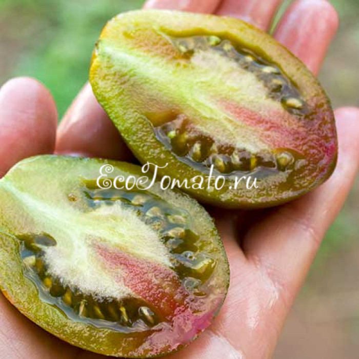 Victoria Smile (Улыбка Виктории), США