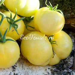 Douce de Picardie (Сладкая Пикардия), Франция