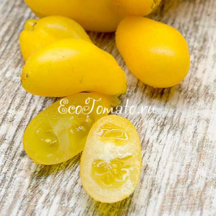 Phil's One (Фила Первый), Франция